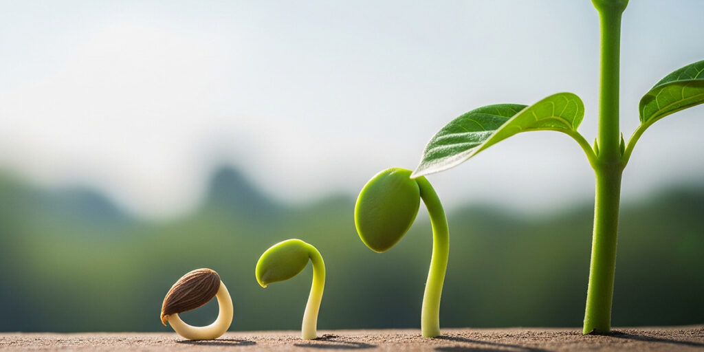 ブログのアクセス数が向上しているイメージ画像